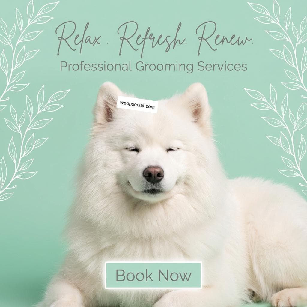 Serene Pet Grooming Spa