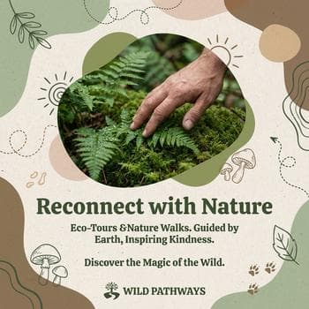 Eco Friendly Nature Walk Flyer