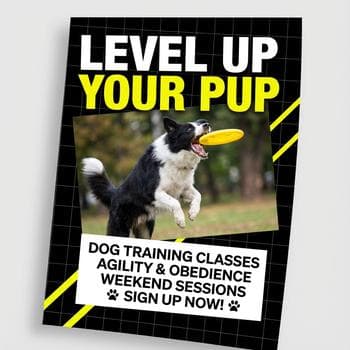 Energetic Dog Training Classes