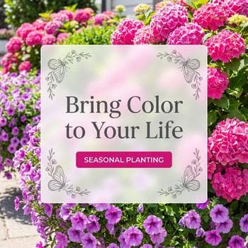 Floral Installation Promo