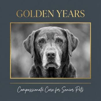 Golden Years Senior Care
