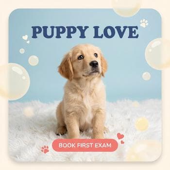 New Puppy Wellness Checkup