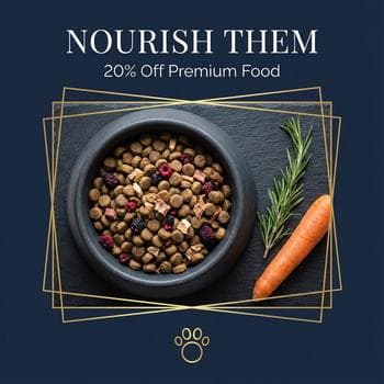 Premium Pet Nutrition Promotion