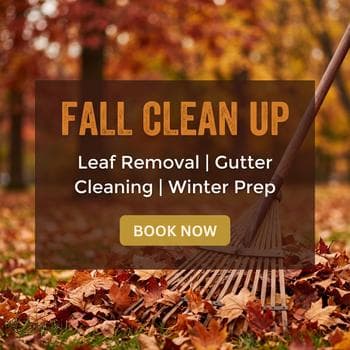 Seasonal Autumn Clean Up