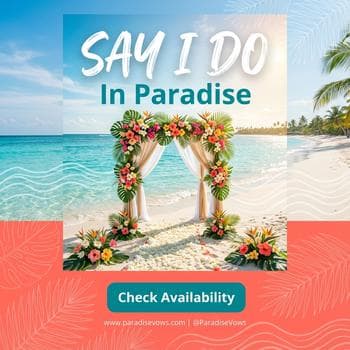 Tropical Beach Destination Vibes