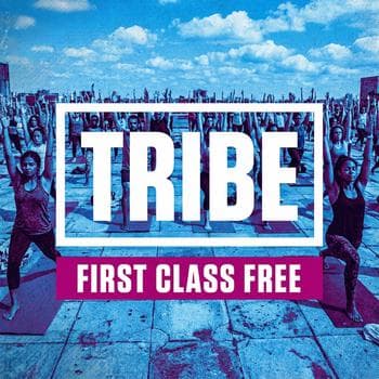 Vibrant Duo Tone Community