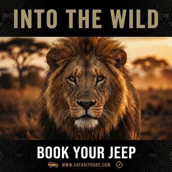 Wild Safari Expedition Social Post