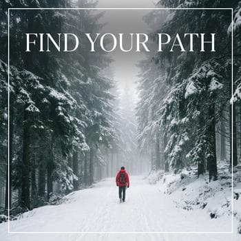 Winter Forest Hiking Path